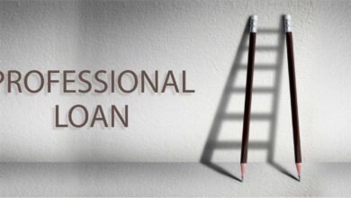 Professional Loan